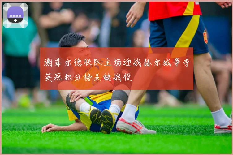 谢菲尔德联队主场迎战赫尔城争夺英冠积分榜关键战役
