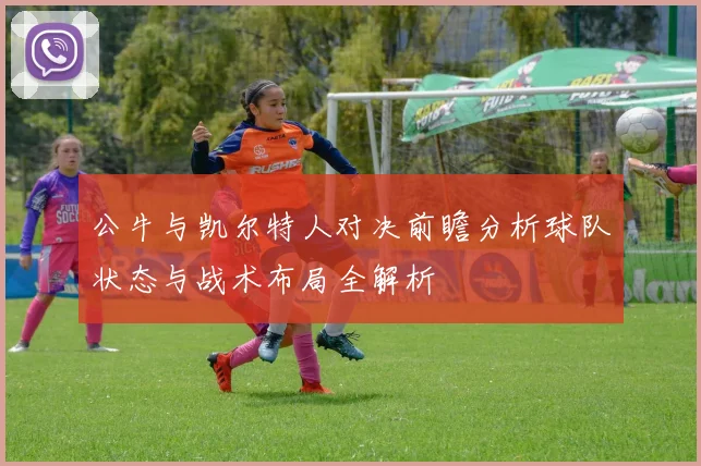 公牛与凯尔特人对决前瞻分析球队状态与战术布局全解析