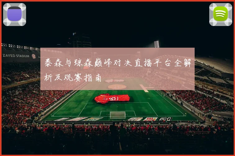 泰森与琼森巅峰对决直播平台全解析及观赛指南